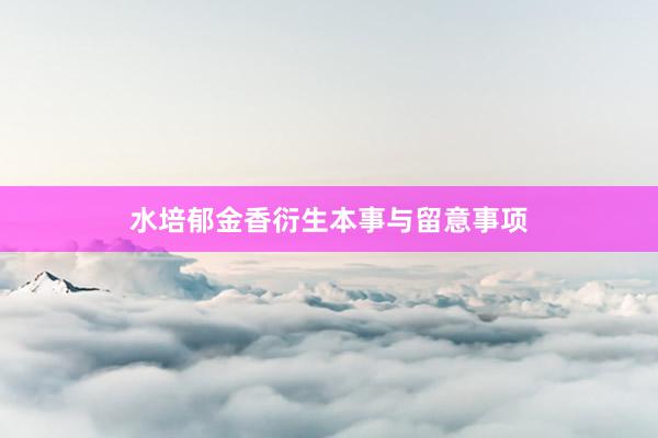 水培郁金香衍生本事与留意事项