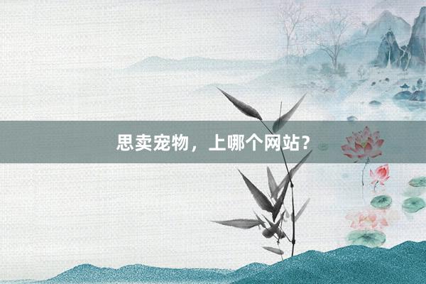 思卖宠物，上哪个网站？